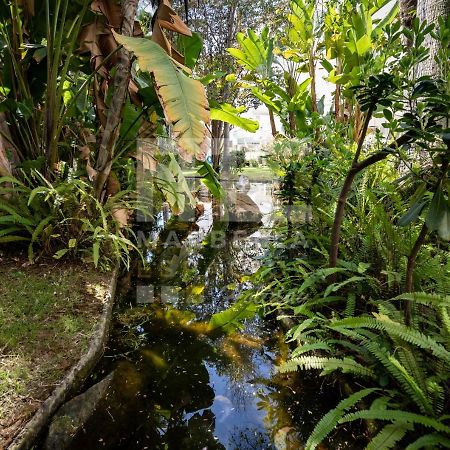 Lovely Apartment Marbella Center Garden Views 130 Exterior photo